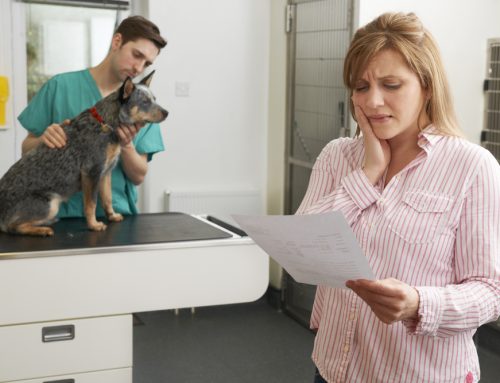 Pet Insurance Do’s and Don’ts