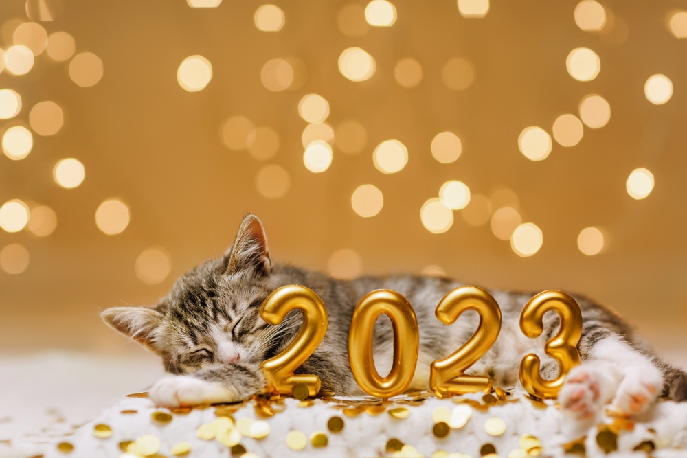 New Year, New Goals: 8 New Year's Resolutions for Your Pet - Vet in Fairfax  California